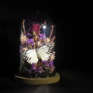 Stolpje met roos en vlinder