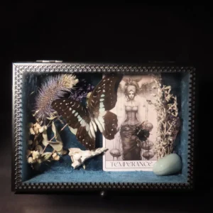 Glazen kistje met tarotkaart, vlinder en meer