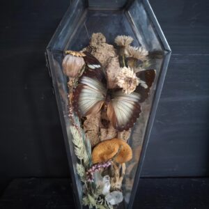 Coffin glas/metaal met vlinder