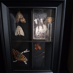 Shadowbox "Fairies"