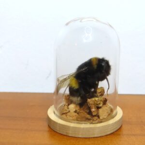 Mini stolpje met hommel